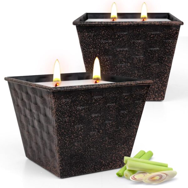 Large Lemongrass Soy Candles, 2-Pack, 12 oz