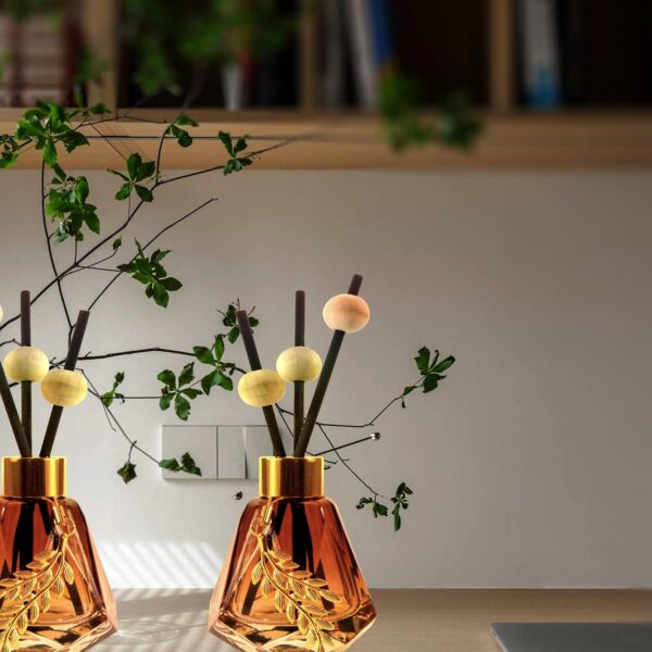 Empty Glass Diffuser Bottles with Reeds, 4-Piece Kit